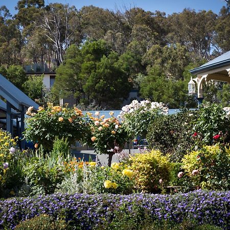 Willows Motel Goulburn Exterior photo