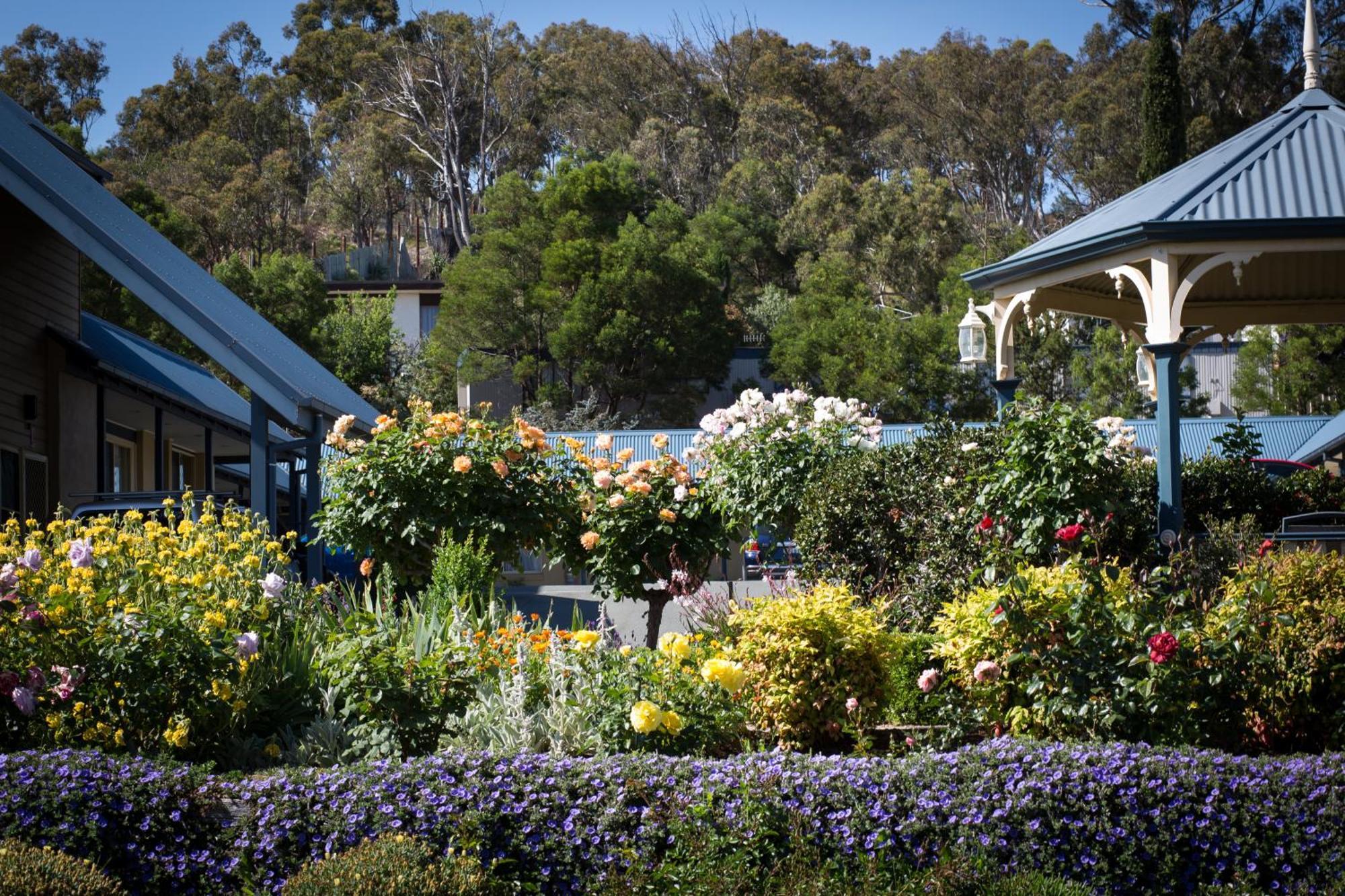Willows Motel Goulburn Exterior photo